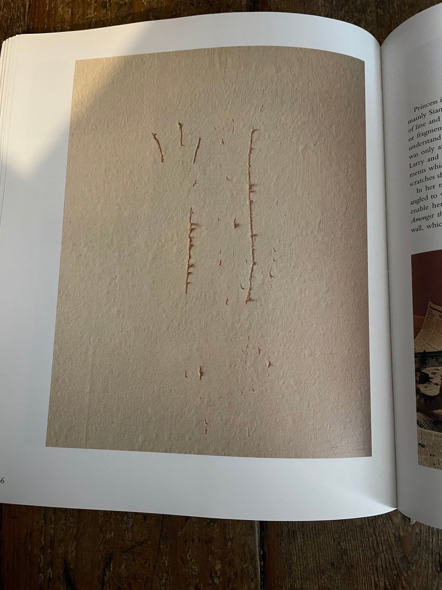 BUSCH, Heather and Burton Silver. Why Cats Paint: A Theory of Feline Aesthetics.