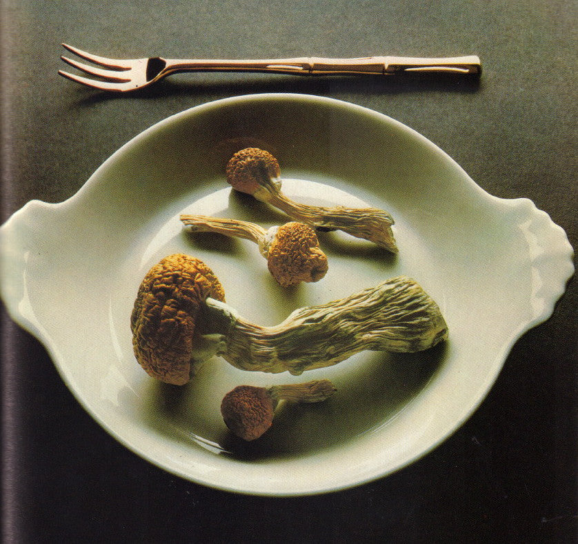 KOWI, Andrew. High Times Encyclopedia of Recreational Drugs.