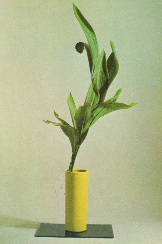 RICHIE, Donald and Meredith WEATHERBY. The Masters Book of Ikebana: Background and Principles of Japanese Flower Arrangement.