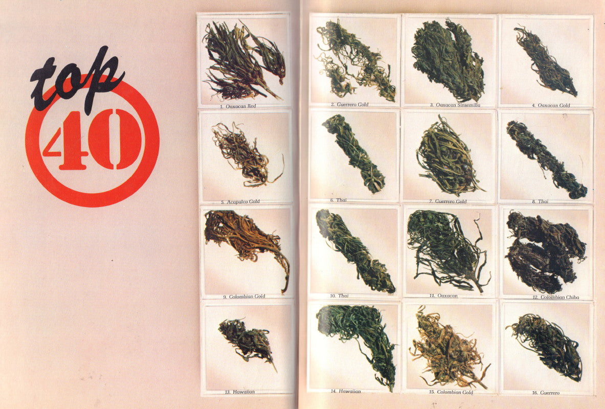 KOWI, Andrew. High Times Encyclopedia of Recreational Drugs.