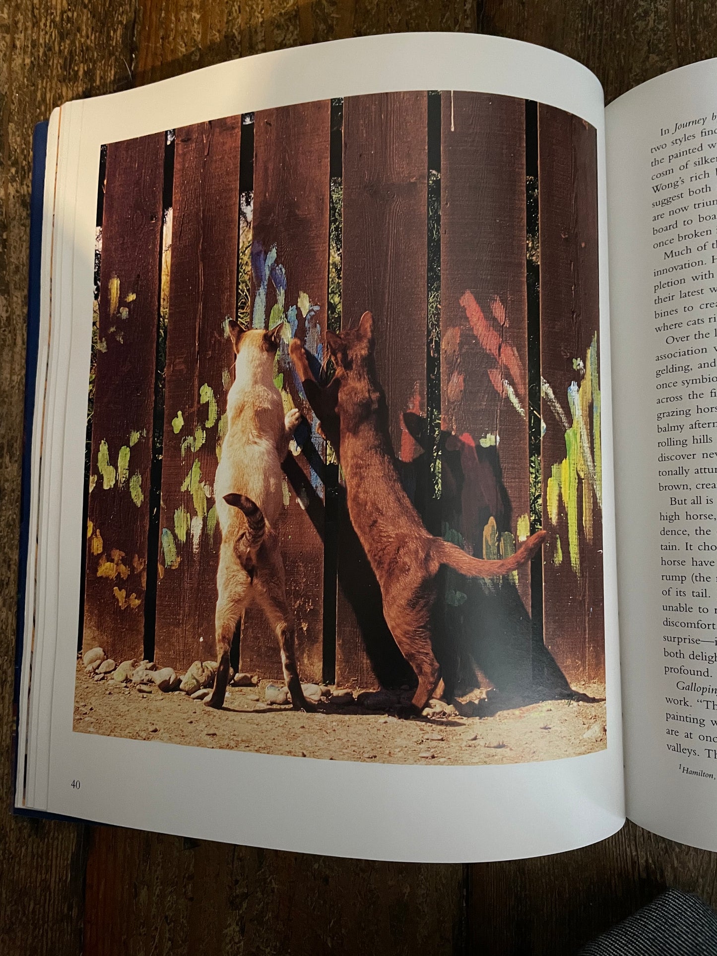 BUSCH, Heather and Burton Silver. Why Cats Paint: A Theory of Feline Aesthetics.