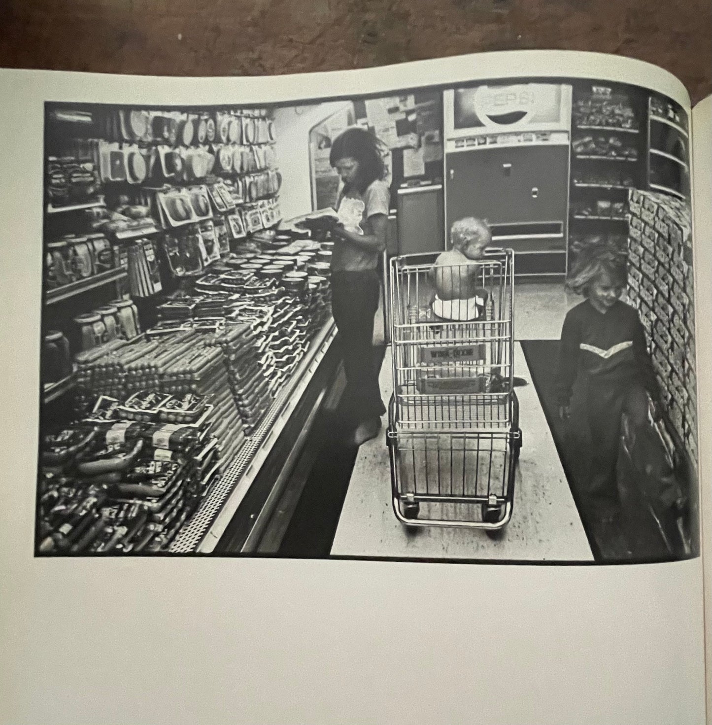 Emmet, Herman LeRoy. Fruit Tramps: A Family of Migrant Farmworkers.