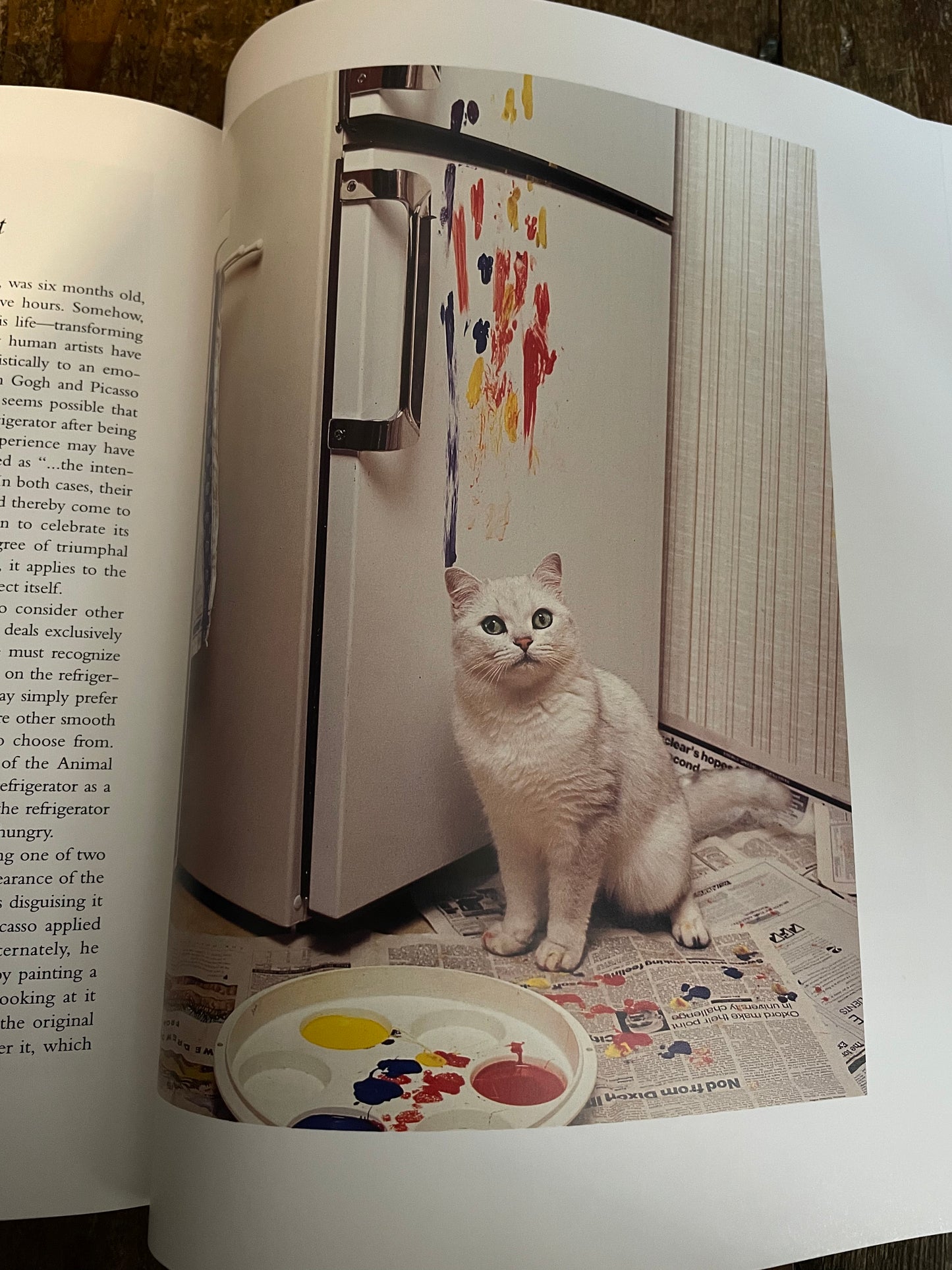 BUSCH, Heather and Burton Silver. Why Cats Paint: A Theory of Feline Aesthetics.