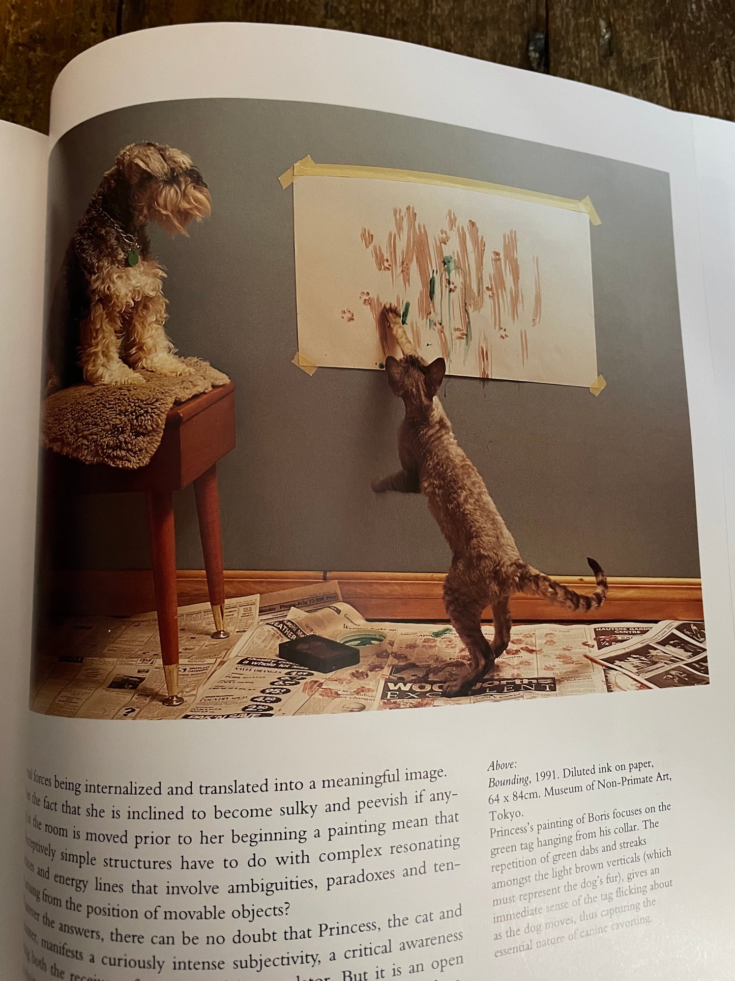BUSCH, Heather and Burton Silver. Why Cats Paint: A Theory of Feline Aesthetics.