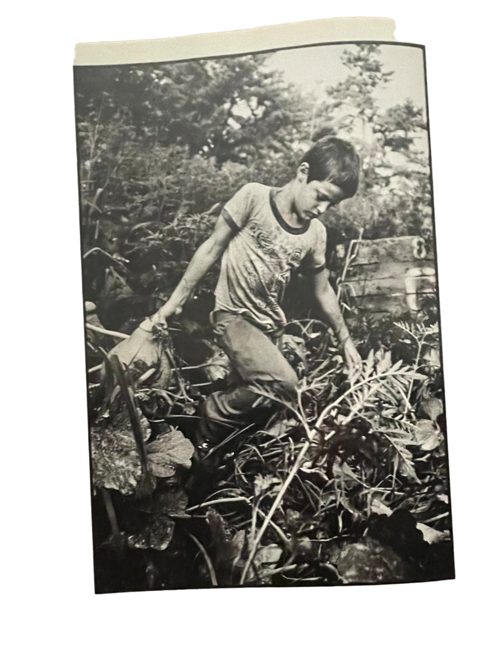 Emmet, Herman LeRoy. Fruit Tramps: A Family of Migrant Farmworkers.