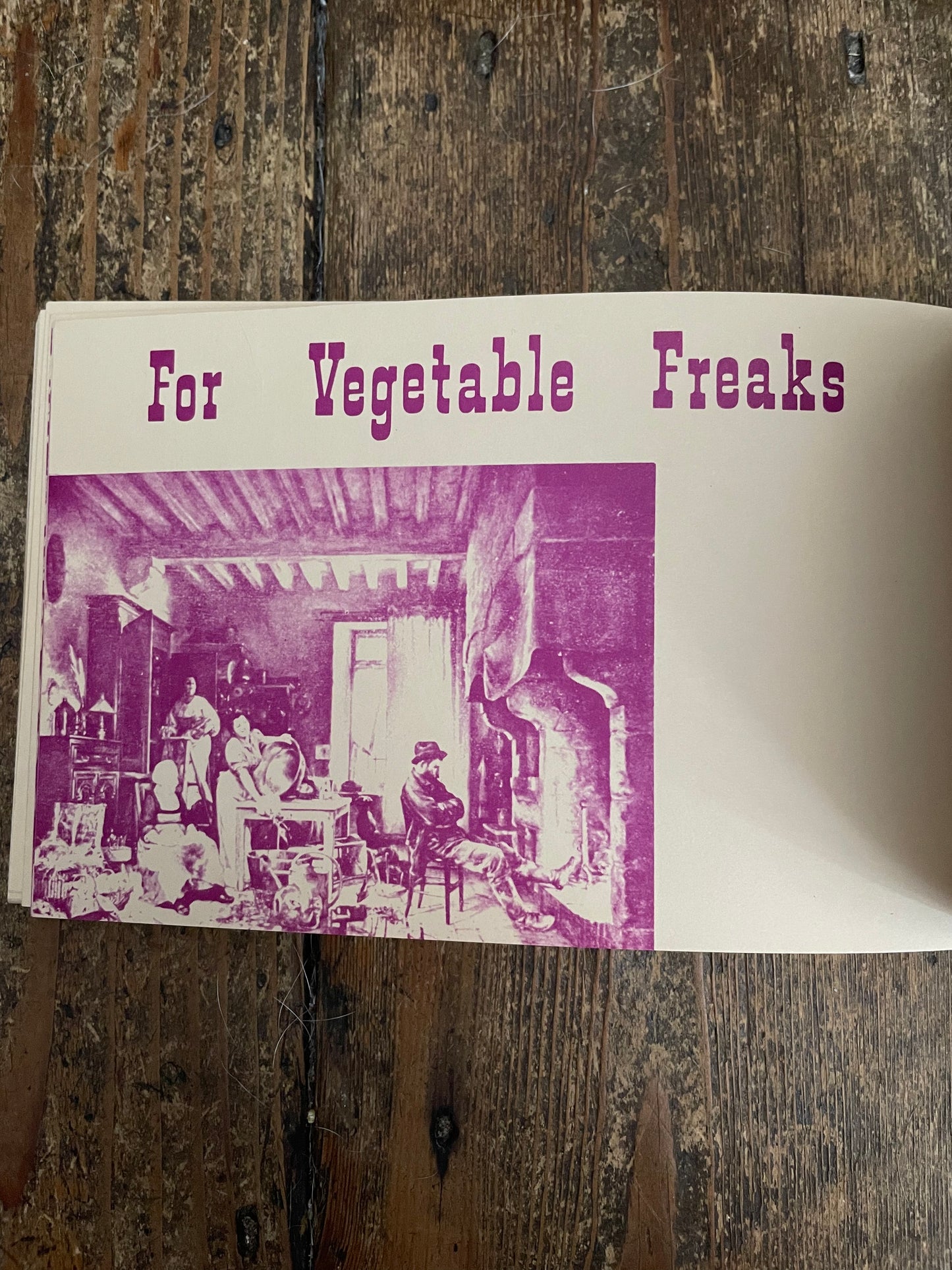 GRABE, Gordon and Phyllis. The Hippie Cookbook or Don’t Eat Your Food Stamps.