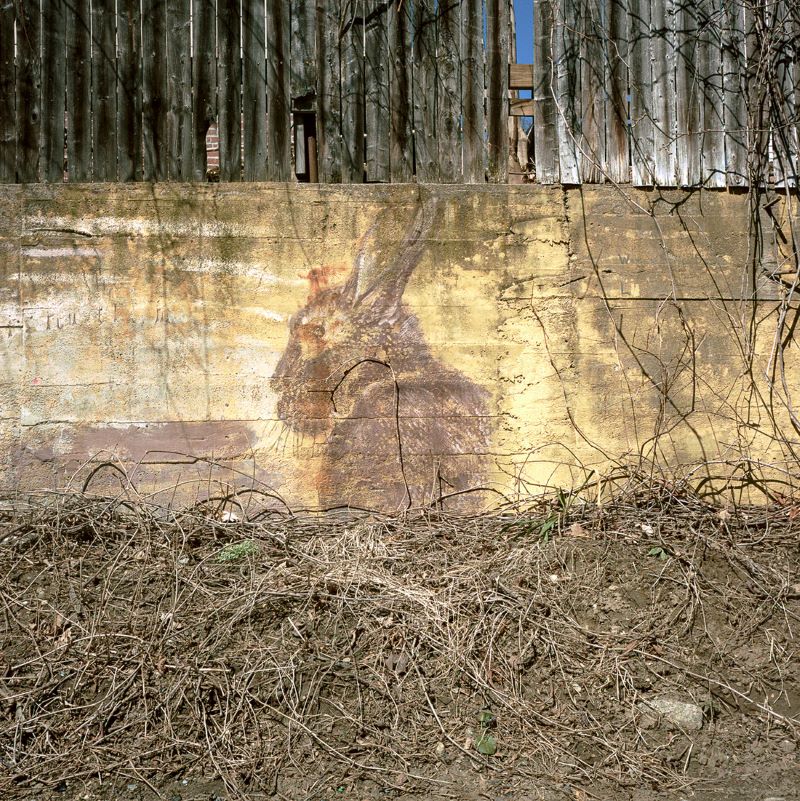 JORDAN, Clay Maxwell. Perpetual Care.