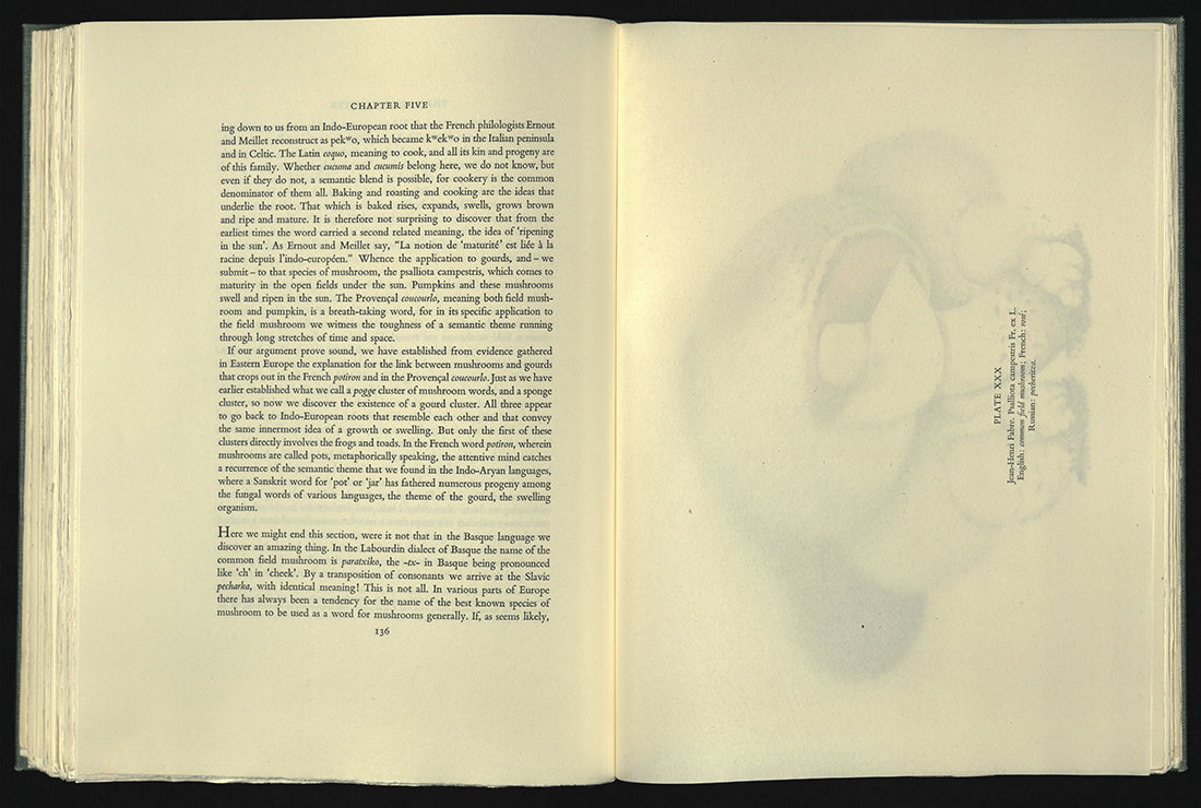 Wasson, Valentina Pavlovna and R. Gordon.  Mushrooms, Russia, and History.