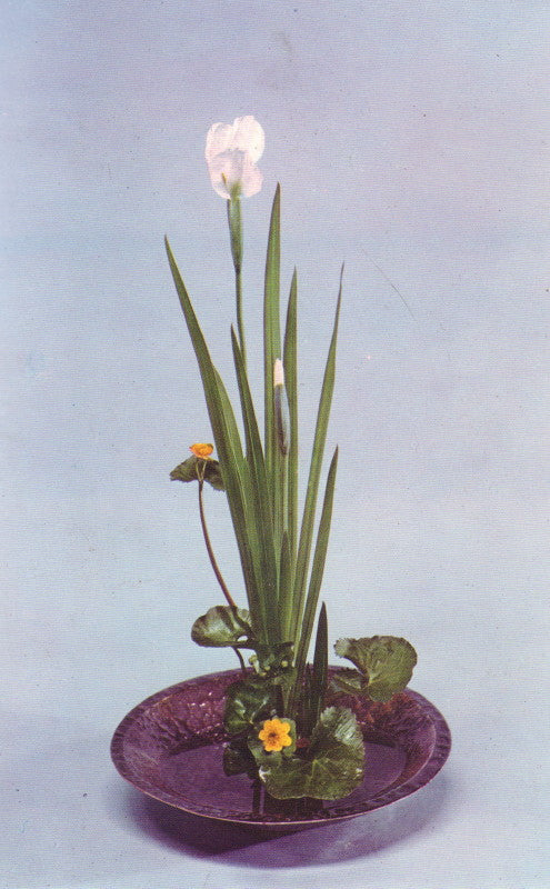 TESHIGAHARA, Sofu. Best of Ikebana.
