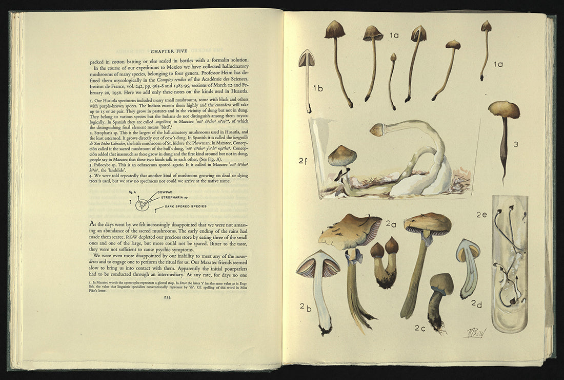 Wasson, Valentina Pavlovna and R. Gordon.  Mushrooms, Russia, and History.
