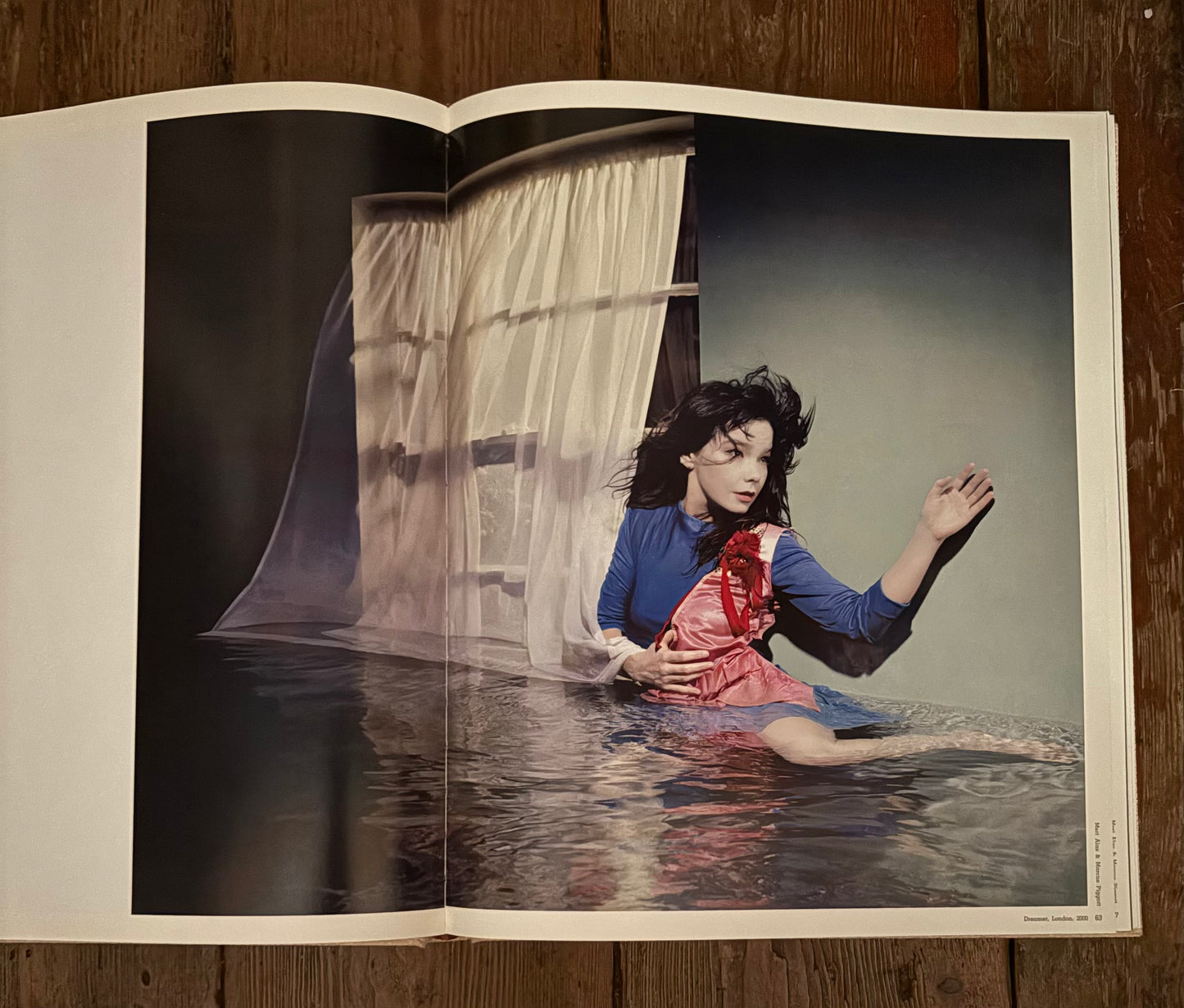 BRIGHT, Susan.  The Face of Fashion.