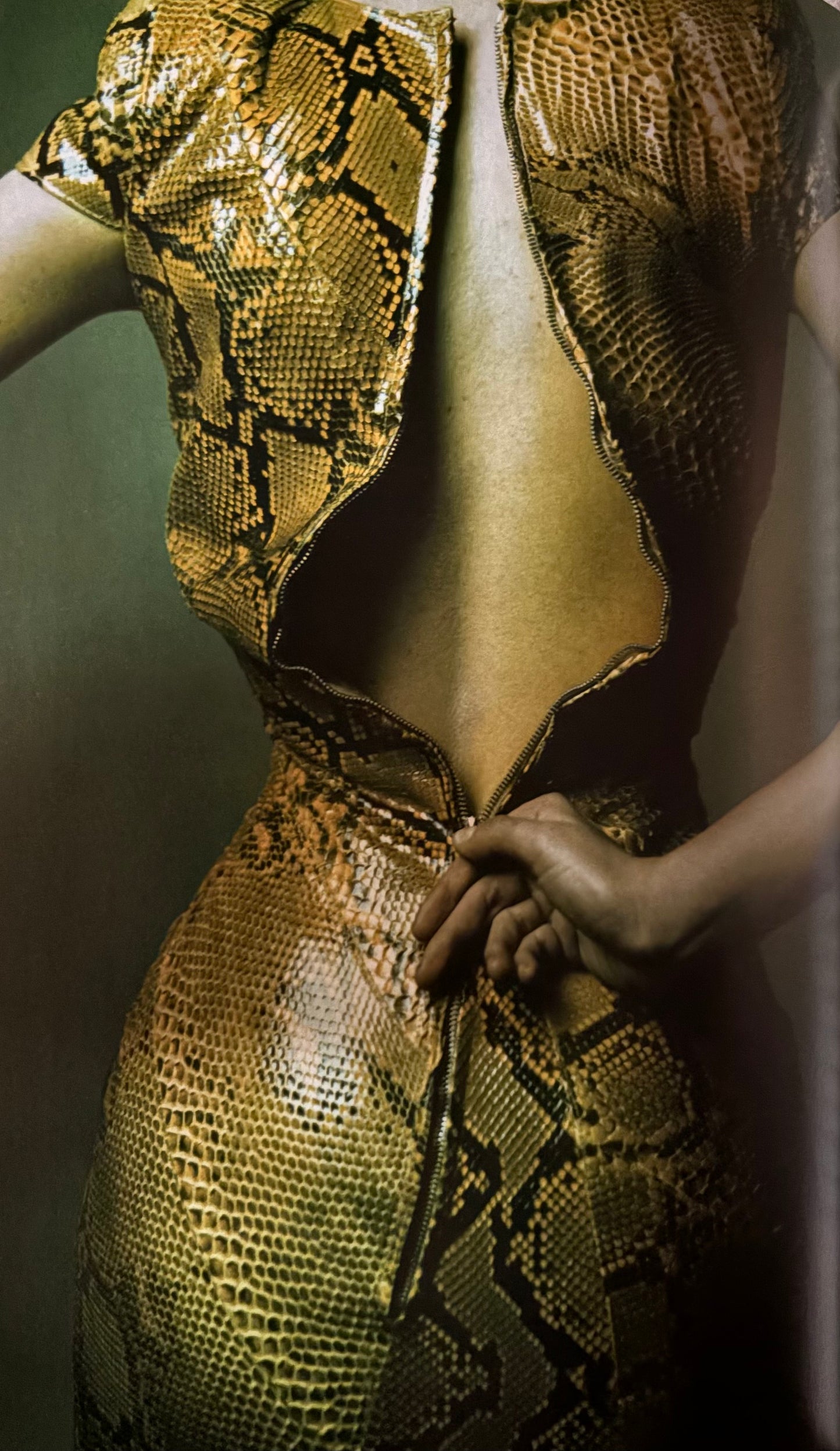 WATT, Judith.  Alexander McQueen: The Life and the Legacy.