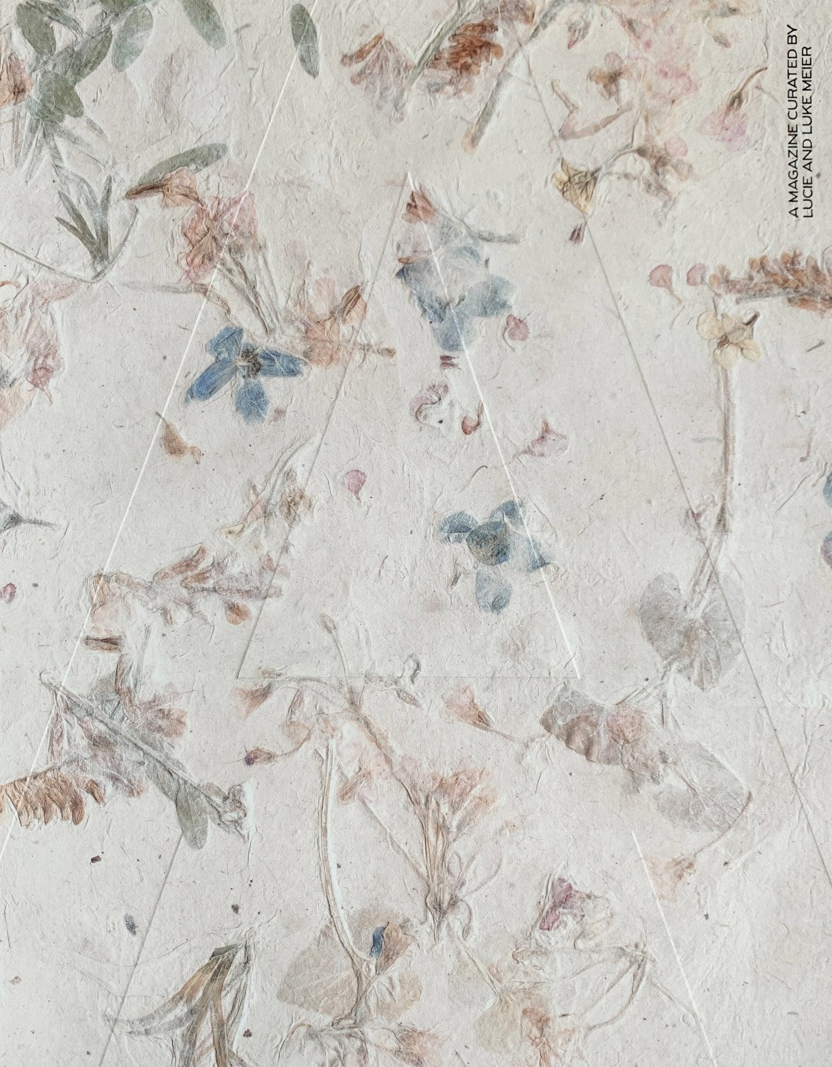 A Magazine Curated By.....