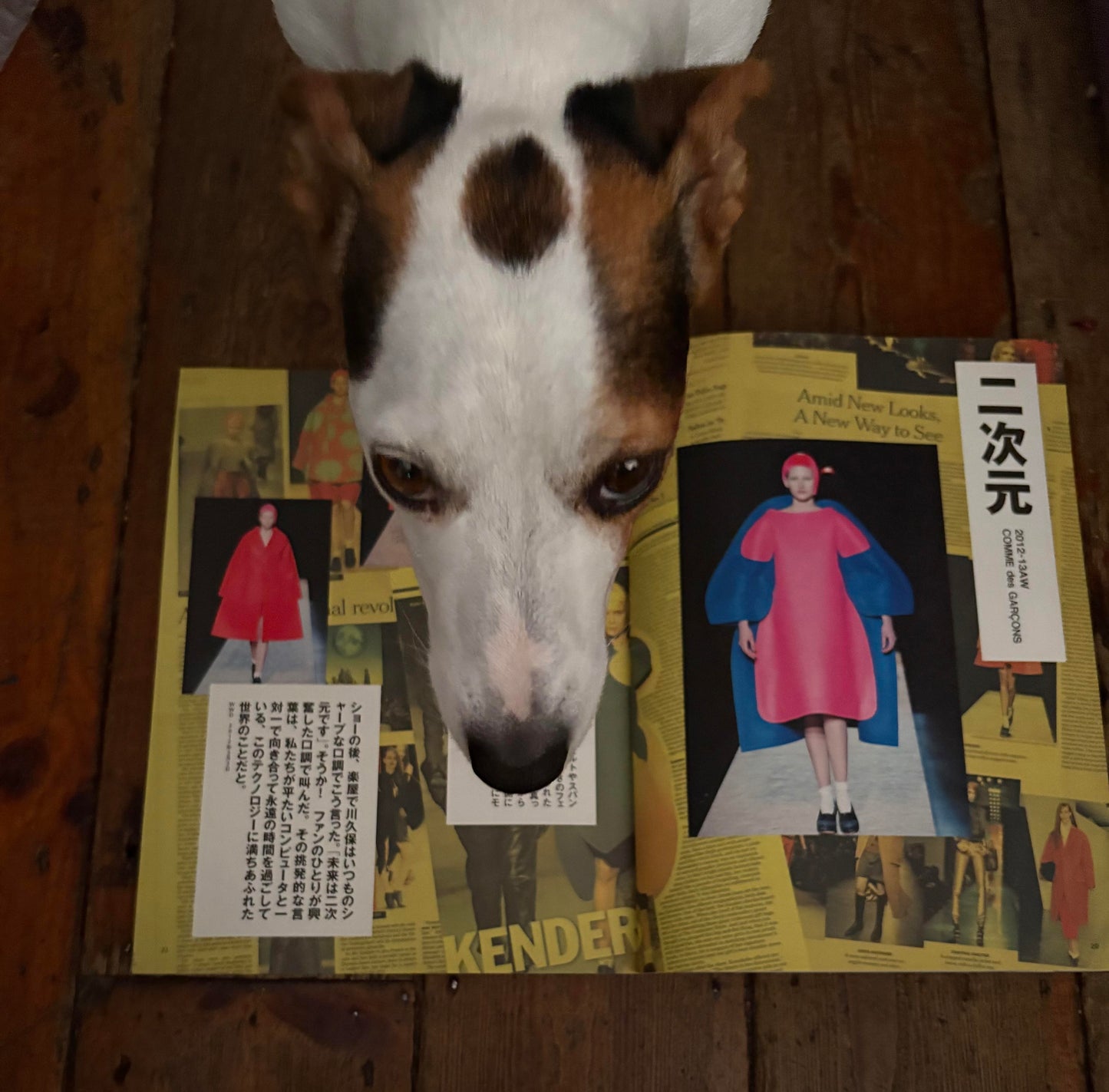 Pen +: All About Comme des Garcons.