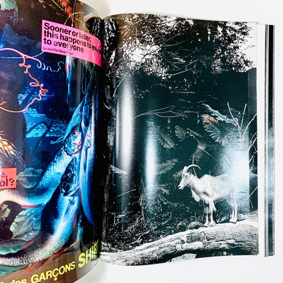 CHAN, Theseus. Werk 8: The Inside of a Shirt.